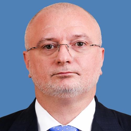 Клишас: комитет Совфеда не поддержал проект об усыплении животных в приютах
