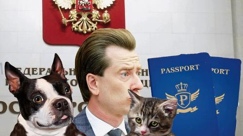 Сначала регистрация, потом налог?