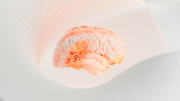 Учёные: эти 4 привычки омолаживают мозг на 8 лет