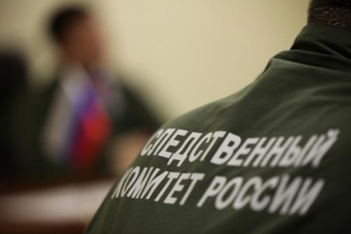В МВД опровергли запрет блогеру Лерчек посещать врача во время следствия