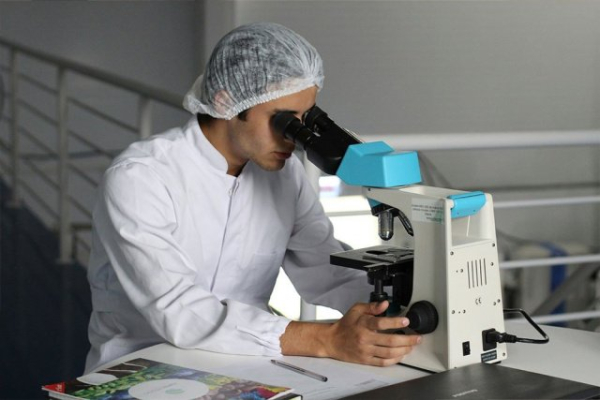 CD19 Deficiency и дефицит LT&beta;R: турецкие учёные открыли новое иммунодефицитное заболевание